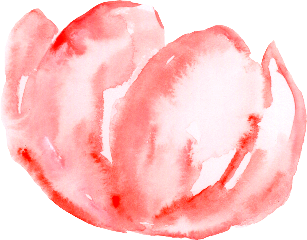 0℃素材9 - Pink (1113x864), Png Download