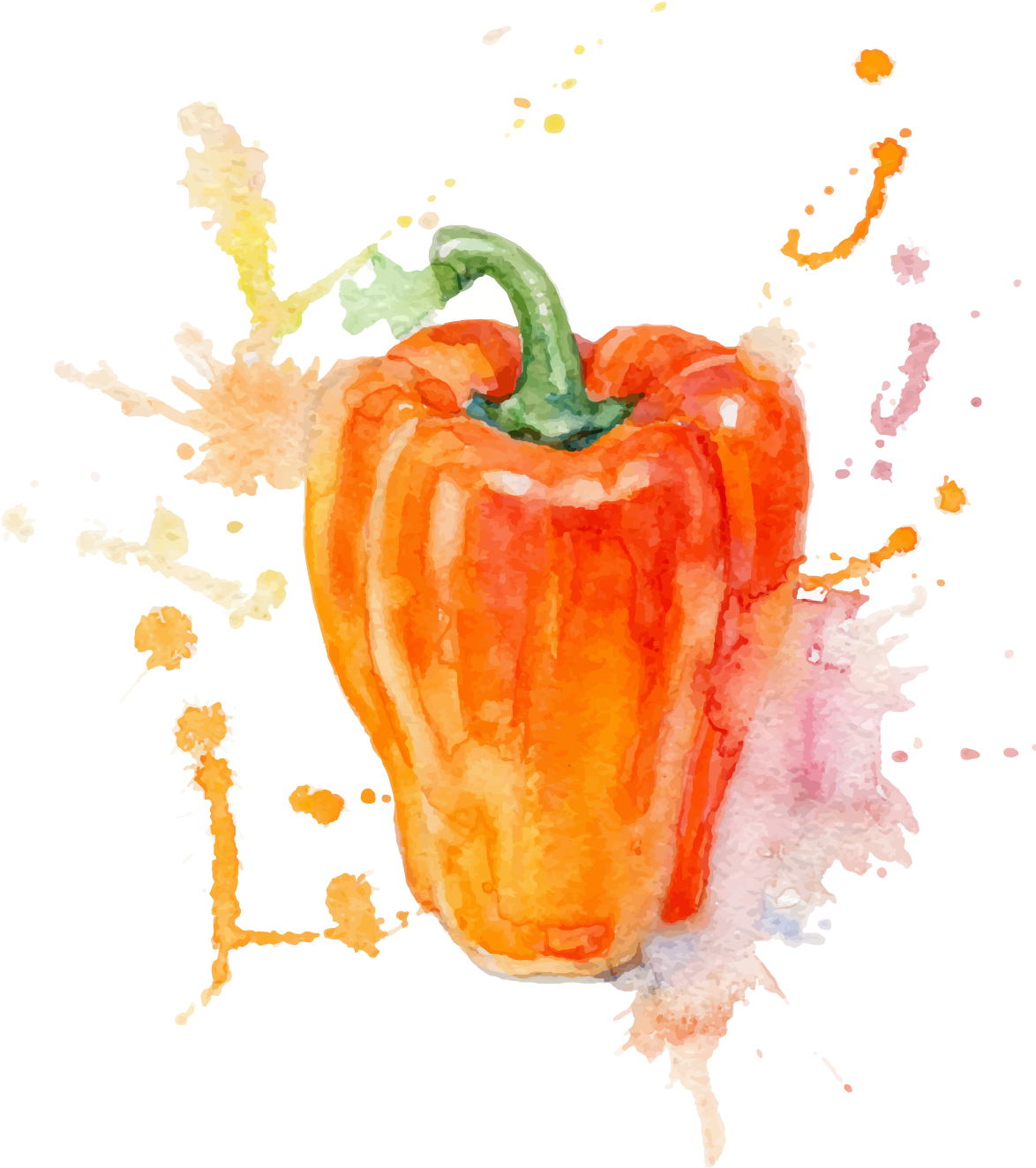 Watercolor Painting Vegetable Illustration - Water Colour For Vegetables (1231x1404), Png Download