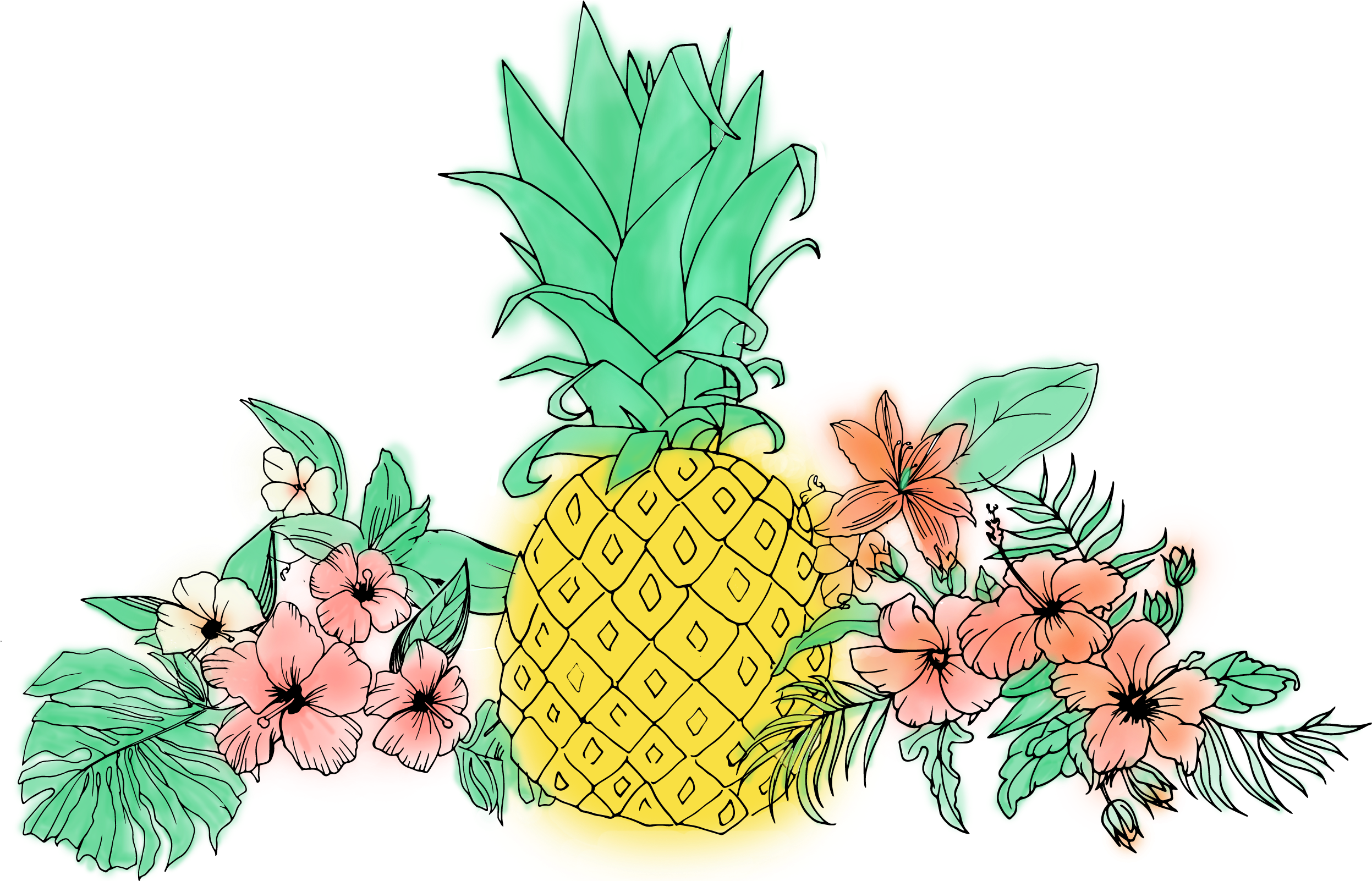 Pineapple Clip Free Download - Pineapple Tropical Flower Illustrations (2599x1601), Png Download