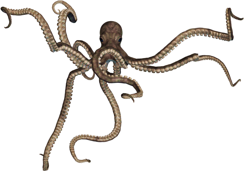 Octopus Png - Giant Octopus Png (1024x819), Png Download