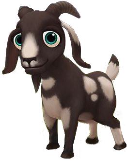 Baby Spotted Boer Goat - Johor Bahru (350x350), Png Download