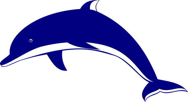 #2709456075, Dolphin - Clipart Dolphin (566x800), Png Download