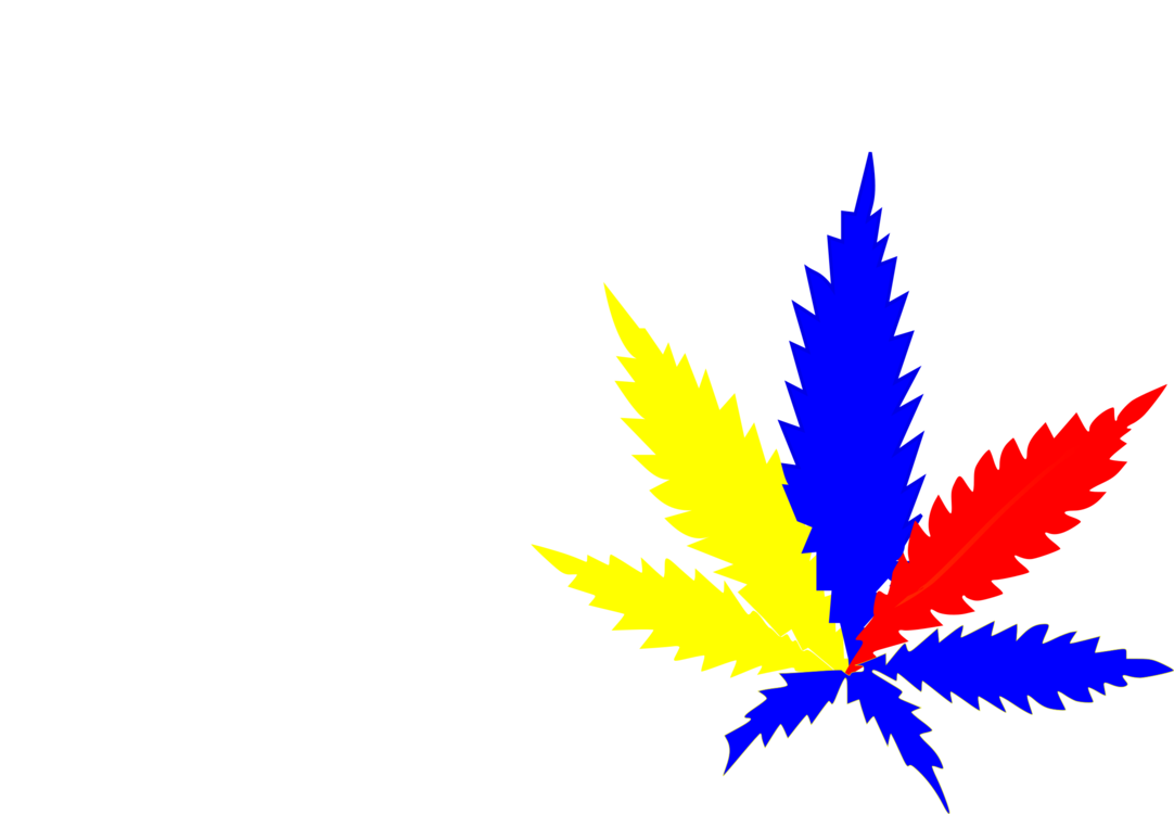 Leaf Cannabis Sativa Medical Cannabis Blunt - Illustration (491x340), Png Download