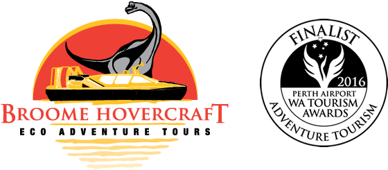 Broome Hovercraft (600x251), Png Download