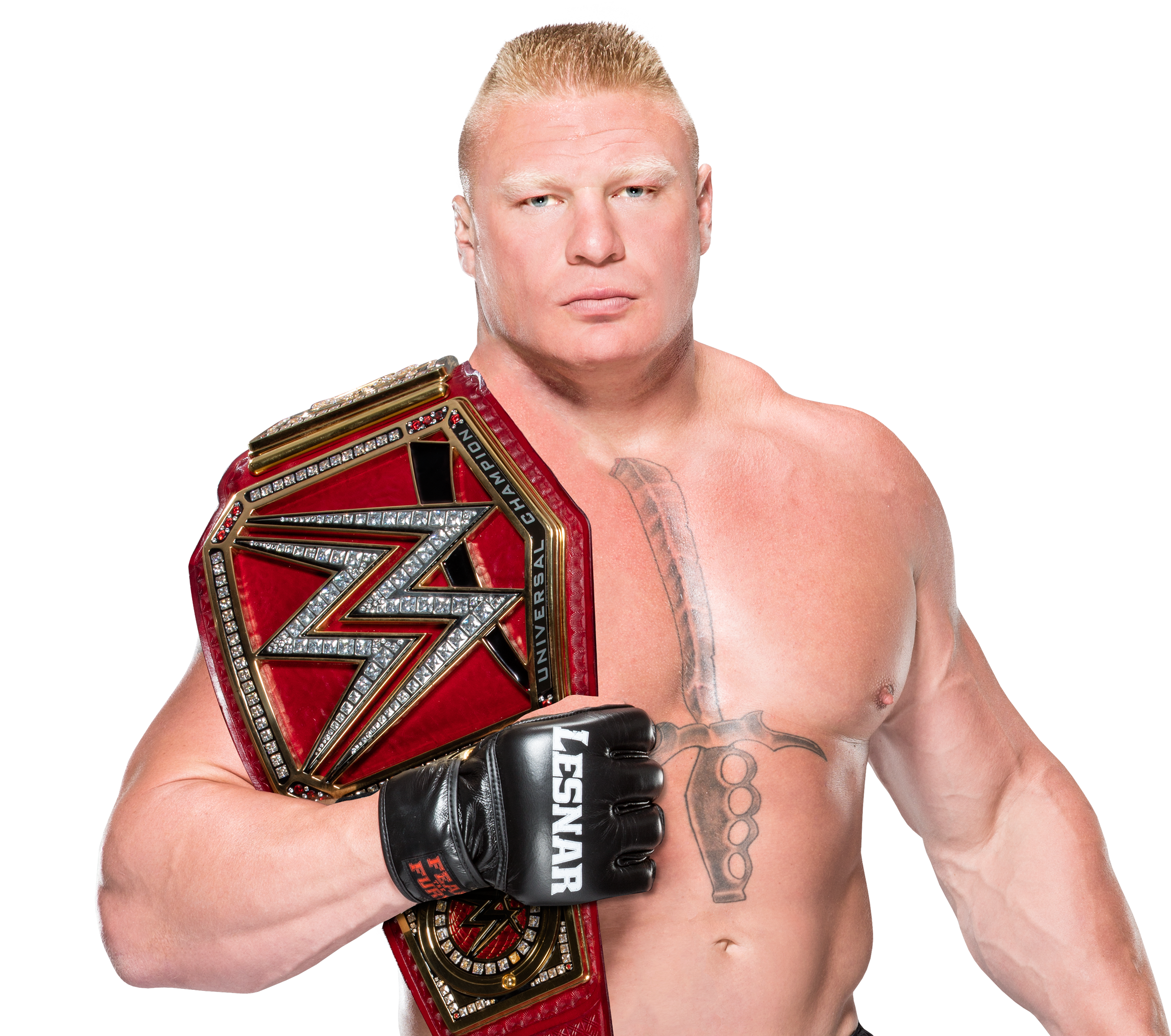 Brock Lesnar Lal Pinterest Brock Lesnar John Cena Nikki - Wwe Brock Lesnar Universal Championship Match (2940x2080), Png Download