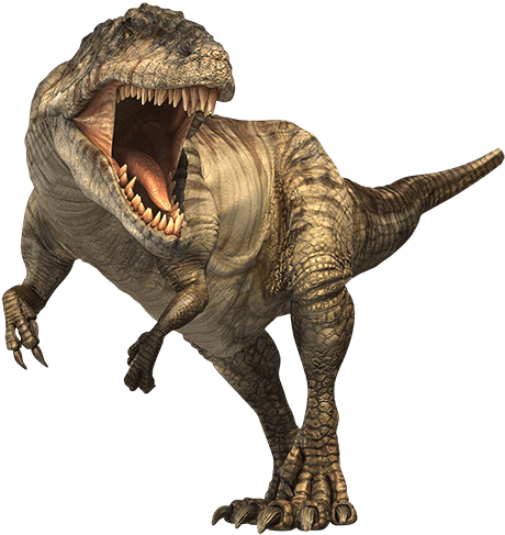 Between Dinosaurs 69 € - Giganotosaurus Cardboard Stand-up (500x513), Png Download