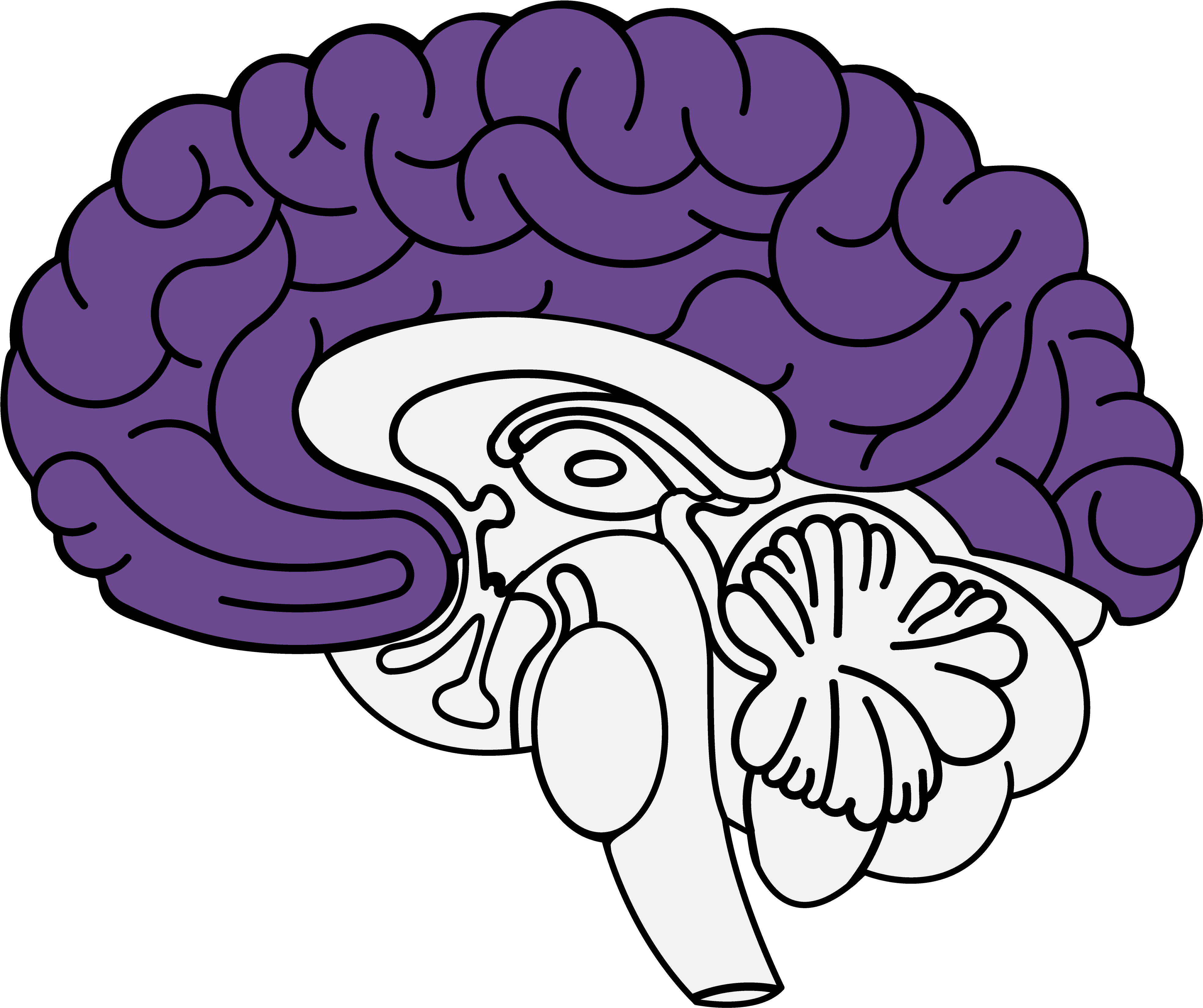 Frontal Lobe - Ansiedad Cerebro (4500x4500), Png Download