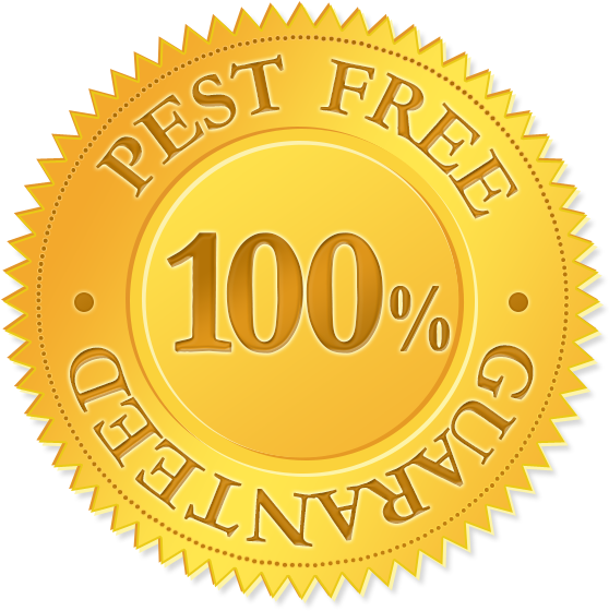 Charge Port Repair - Free Psd Seal Templates (558x559), Png Download