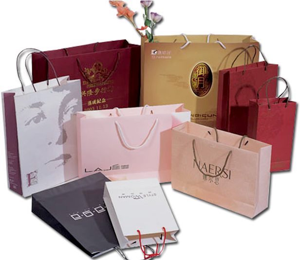 Luxury Paper Bags - Shopping Bags (880x534), Png Download