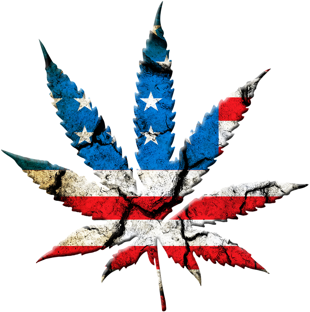 Meanwhile, Once These Legal Marijuana Bills Finally - State Marijuana Legalization: Issues And Effects (720x720), Png Download