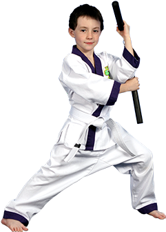 Learning Martial Arts Can Benefit Anyone And Everyone - Taekwondo (350x344), Png Download