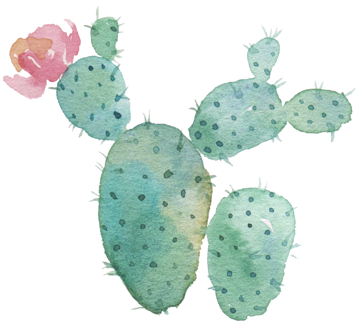Watercolor Cactus Transparent Background (1153x1050), Png Download
