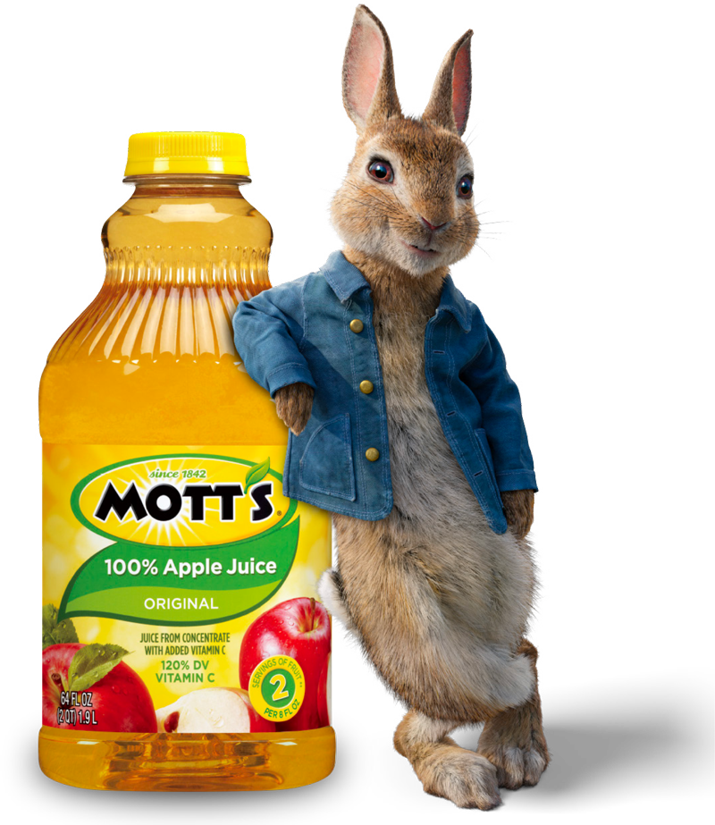 How Many Mott's Products Can You Count - Mott's Apple Juice - 64 Fl Oz Bottle (800x923), Png Download