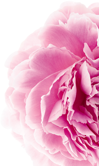 We Choose Peony For Its Paeoniflorine, An Anti Irritating, - Scalp (720x848), Png Download