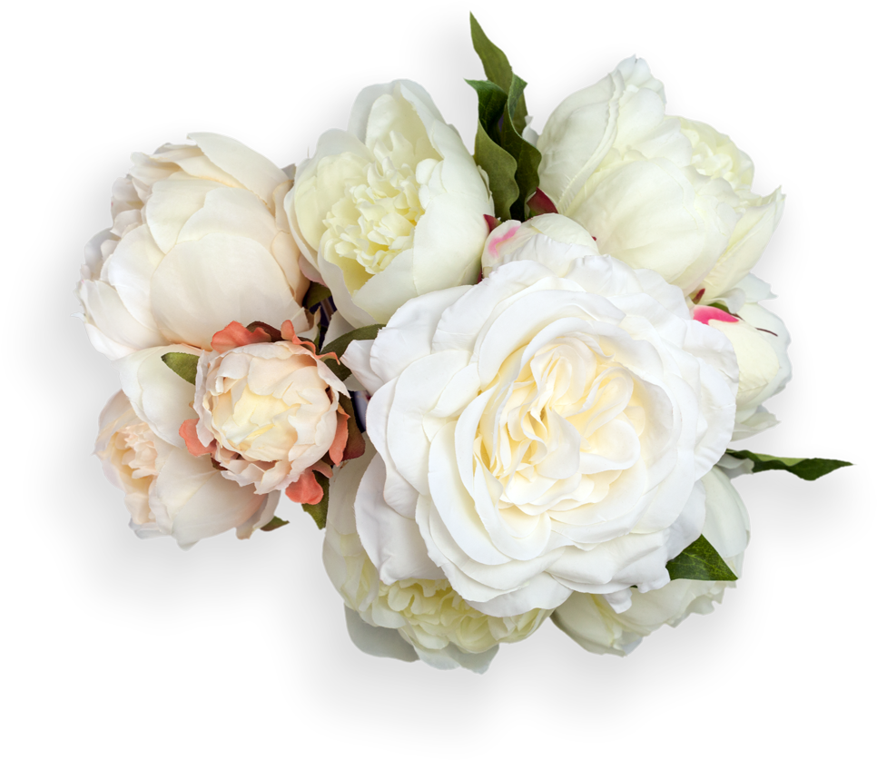 Pixels Display, Peony, Danielle Conley For Mobile - Peony Blooms Font Free (1000x908), Png Download