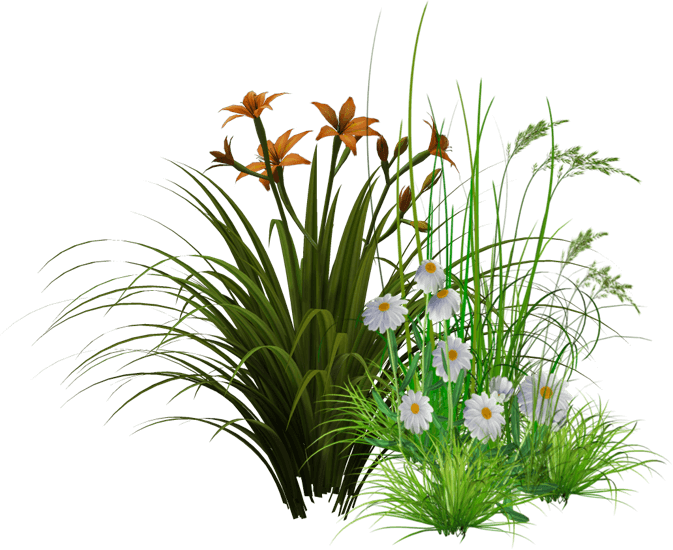 Created By Two Nature Enthusiasts With Decades Of Experience - Flowers Png Images Hd (673x550), Png Download