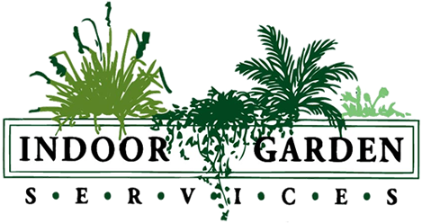 Broadway Plantscapers (500x248), Png Download