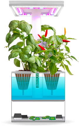Urbigo Mini Smart Indoor Garden - Garden (300x450), Png Download