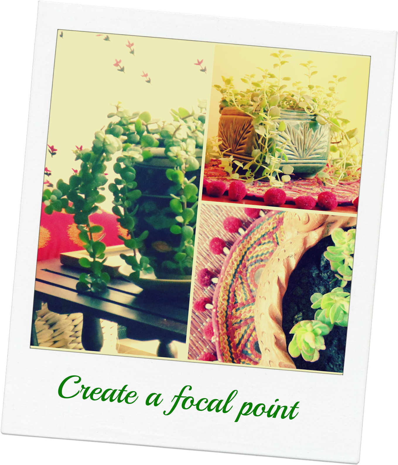 Mealy Bugs And Green Flies Make An Appearance Every - Houseplant (1370x1600), Png Download