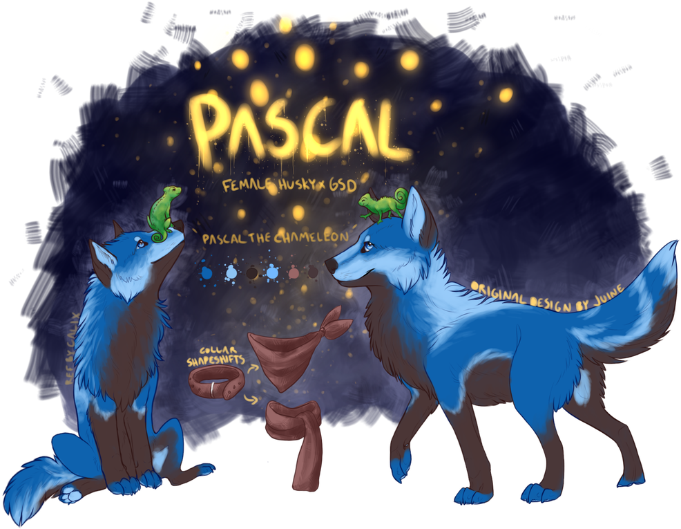 Picture - Dog Catches Something (1047x800), Png Download