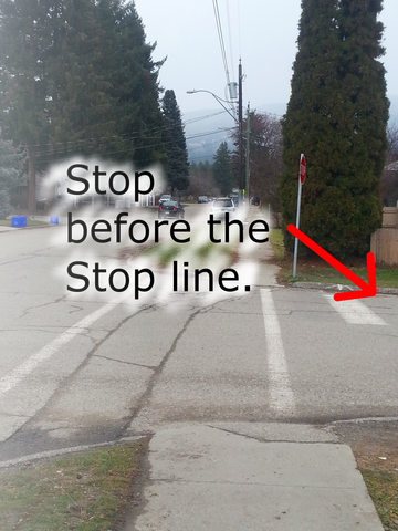 On A Road Test You Must Come To A Complete Stop At - Stop Line At Intersection (360x480), Png Download