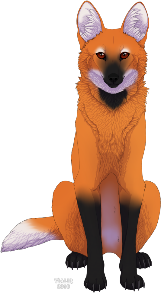 Maned Wolf By Vialir - Maned Wolf Deviantart (800x1000), Png Download