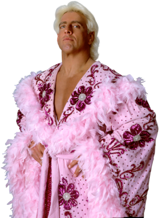 Wwe Ric Flair Mask Officially Licensed Nature Boy Trick - Ric Flair Wwe 20x24 Photo Poster Wearing Pink Robe (362x480), Png Download