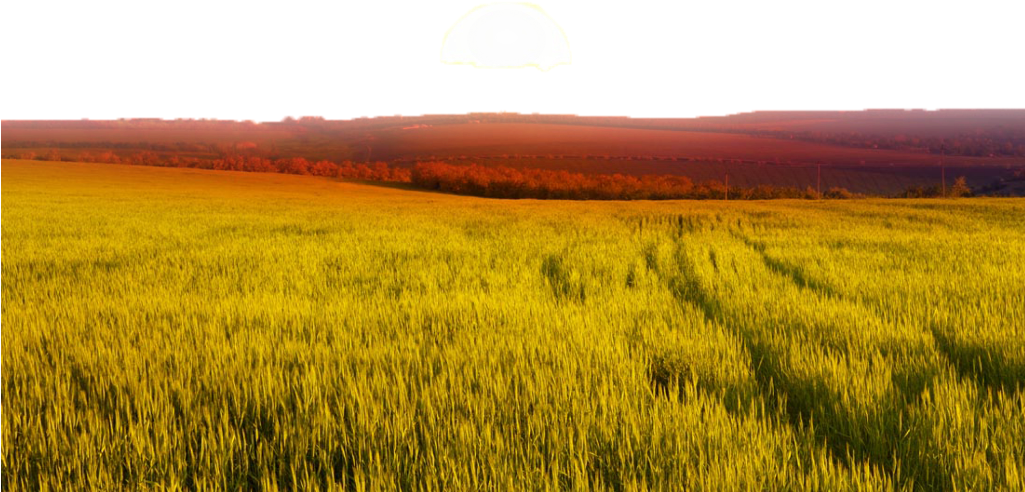 Ftestickers Landscape Field Wheat Sunrise - Prairie Landscape Png (1024x1024), Png Download