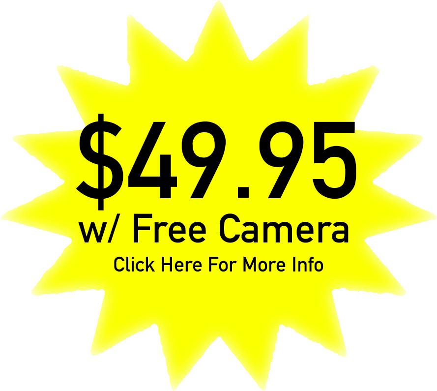 Shirt (900x800), Png Download