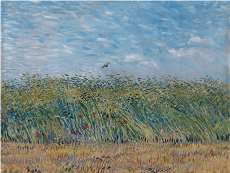 Reprodukcje Obrazów Vincent Van Gogh Wheatfield With - Van Gogh Hay Stacks (458x458), Png Download