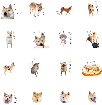 Sell Line Stickers Shiba Inu Gen - Fox (420x448), Png Download