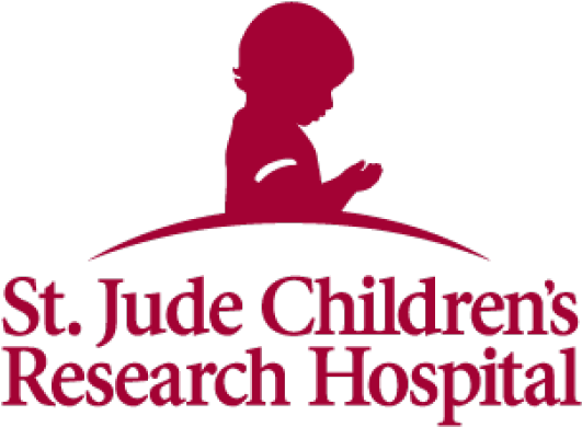St-jude - St Jude's (800x499), Png Download