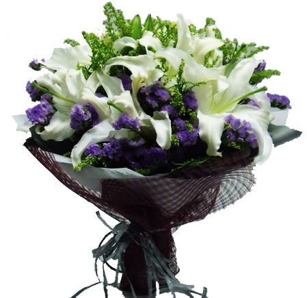 Hb022 White Lily And Purple Statics - Purple (450x450), Png Download