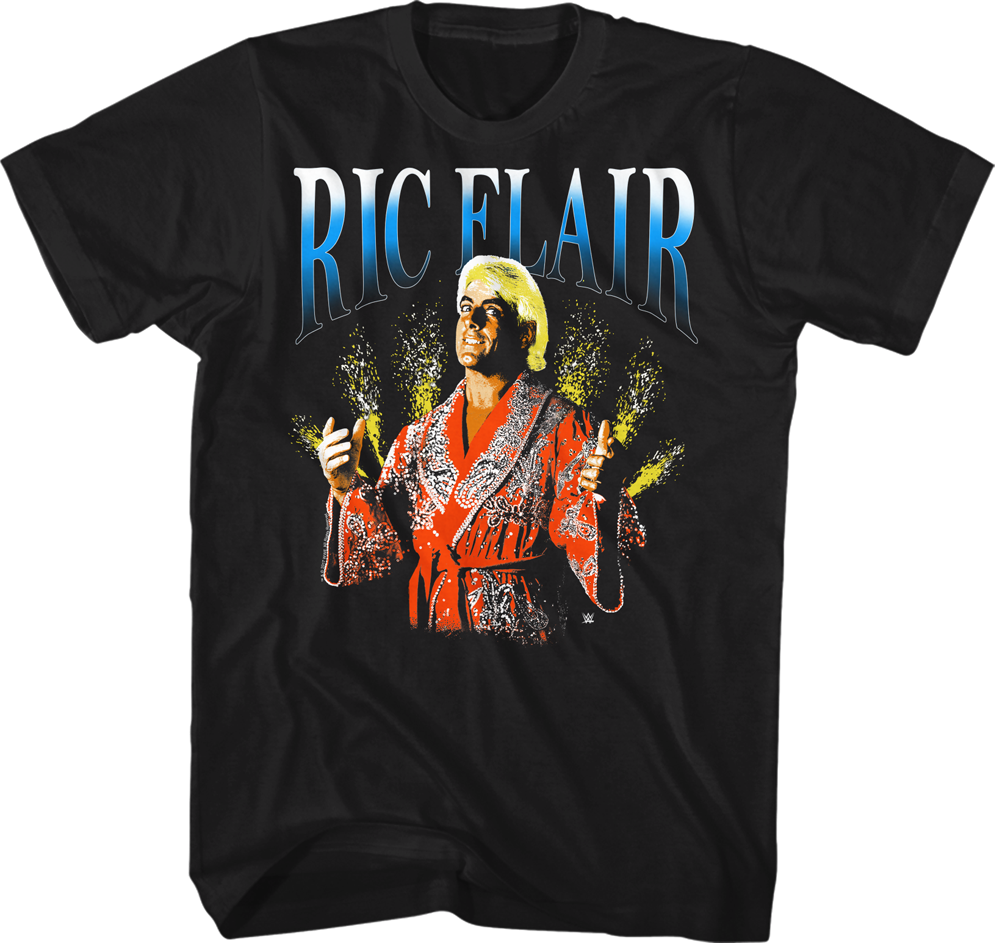 Ric Flair Shirts Officially Licensed Free Shipping - 7 Years Of College Down The Drain (995x943), Png Download