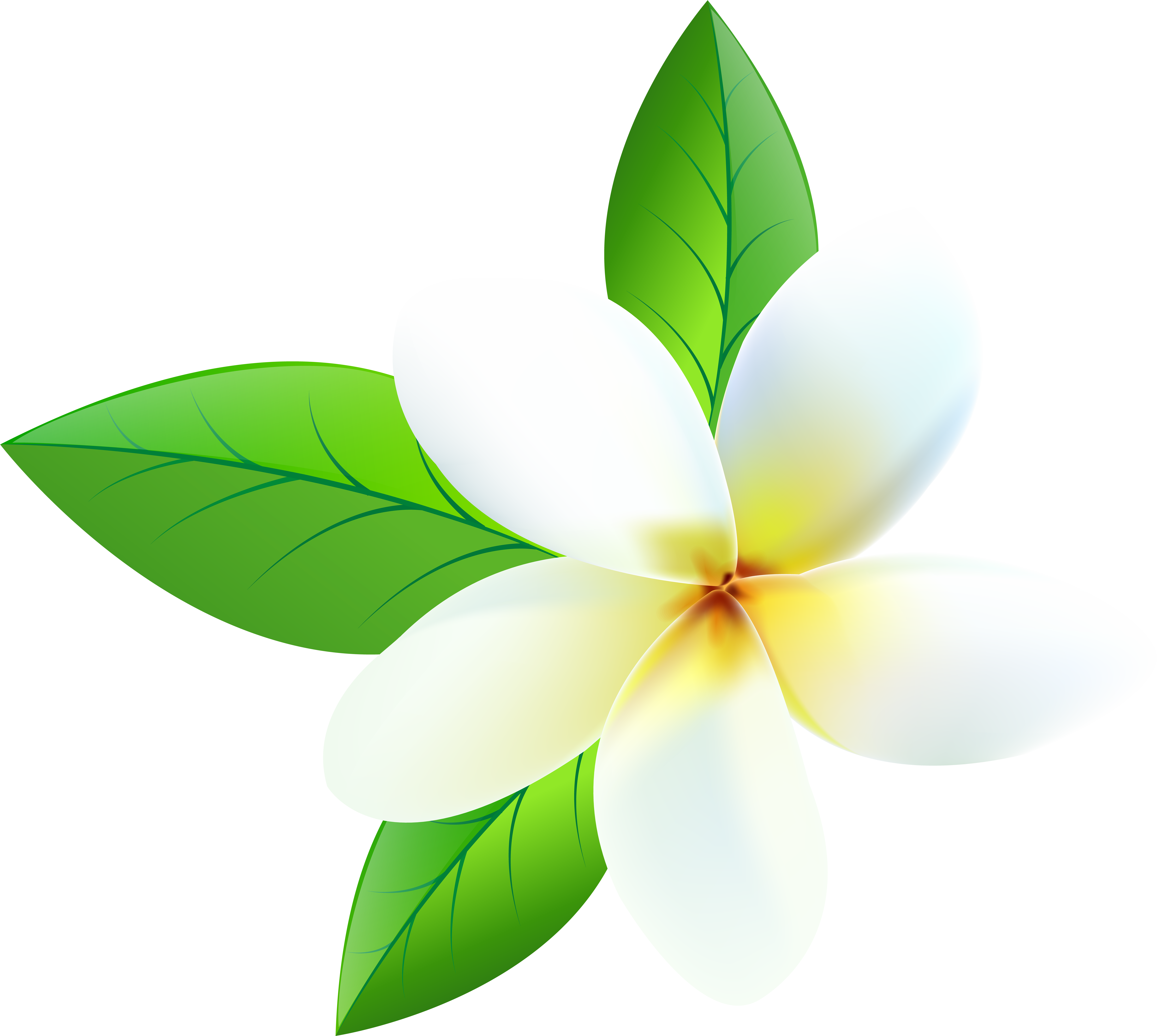 Plumeria Png (8000x7166), Png Download