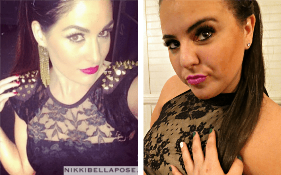 Nikki Bella Makeup Tutorial The Stylish Saverthe Saver - Nikki Bella (1024x653), Png Download