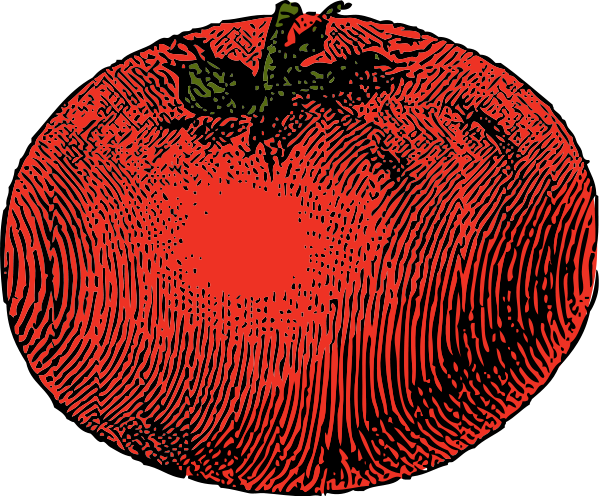 Tomato Png Images 600 X (600x496), Png Download