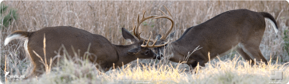 Buck Whitetail Deer Hunting Rifle Pad - White-tailed Deer (1000x1000), Png Download