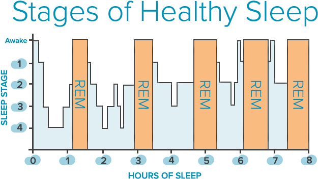 What Is Rem Why Does It Matter - Stages Of Sleep (643x395), Png Download