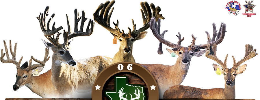 Founded In 2009 By Raymond And Debbie Otto, 06 Whitetails - Reindeer (900x349), Png Download