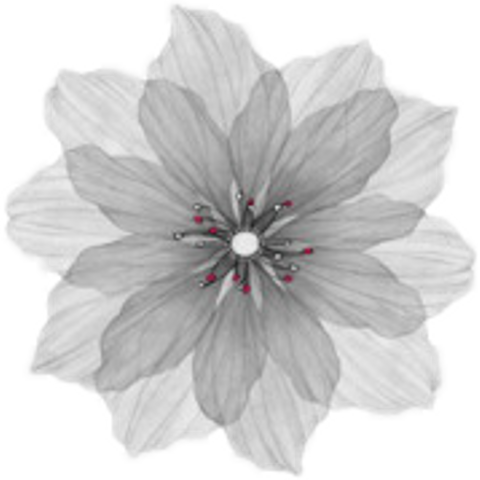 Watercolor Painting (480x480), Png Download