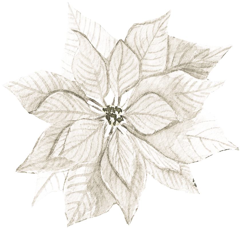 White (1024x922), Png Download