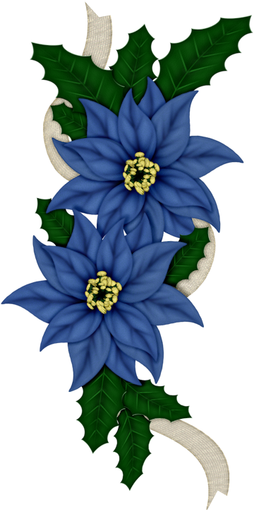 C Orig Kwiaty Transparent Pinterest Ccorig - Transparent Christmas Flower Blue (404x762), Png Download