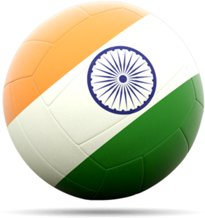 Download Volleyball Icon For Non-commercial Use - India Flag On Ball Hd (640x480), Png Download