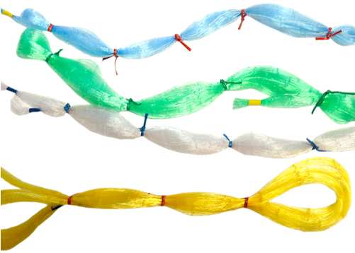 Photo - Photograph (500x380), Png Download