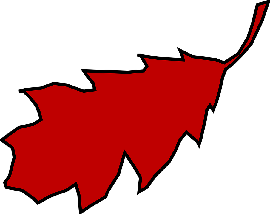 Fall Clipart, Suggestions For Fall Clipart, Download - Red Oak Leaf Clipart (905x720), Png Download