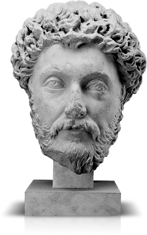 Bust (481x764), Png Download