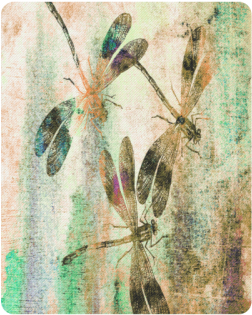 Mauritius Vintage Dragonflies Qr Rectangle Mousepad - Mauritius Vintage Dragonflies Colours Bath Mat - 17" (500x500), Png Download