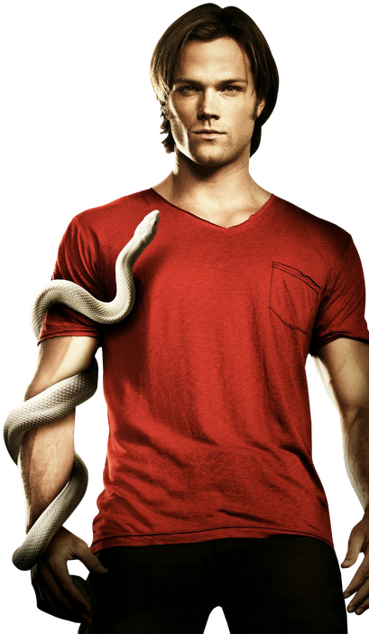 *clique Para Expandir* - Supernatural Season 6 Poster Official (548x800), Png Download