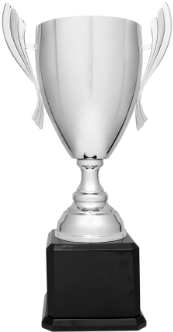 22 Silver Metal Cup Trophy On Black Royal Piano Finish - Trophy (350x350), Png Download